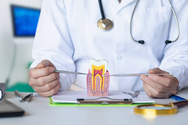 Best Dentist for Tooth Abscess  in Essex Junction, VT